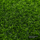 Outdoor Artificial Grass Roll - 0.7" Pile Height, 6 ft x 20 ft