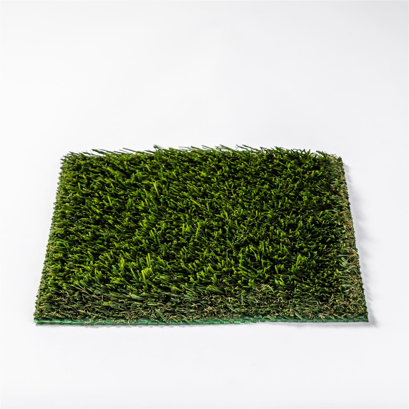 Olive 73 Pet